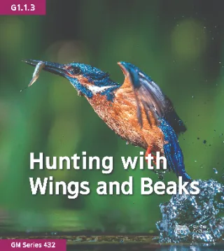 Hunting with Wings and Beaks