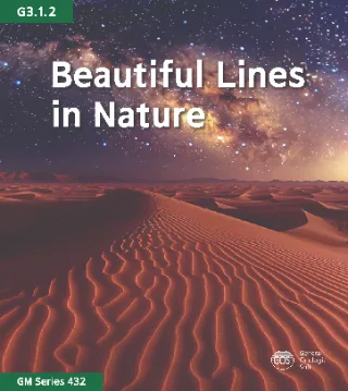 Beautiful Lines in Nature