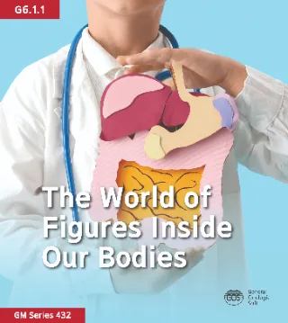 The World of Figures Inside Our Bodies