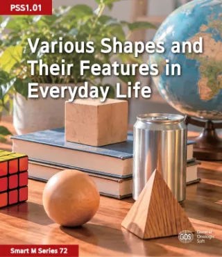 Various Shapes and Their Features in Everyday Life