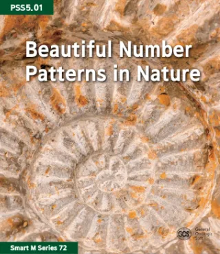 Beautiful Number Patterns in Nature