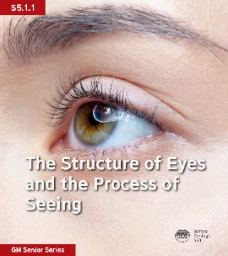 The Structure of Eyes and the Process of Seeing